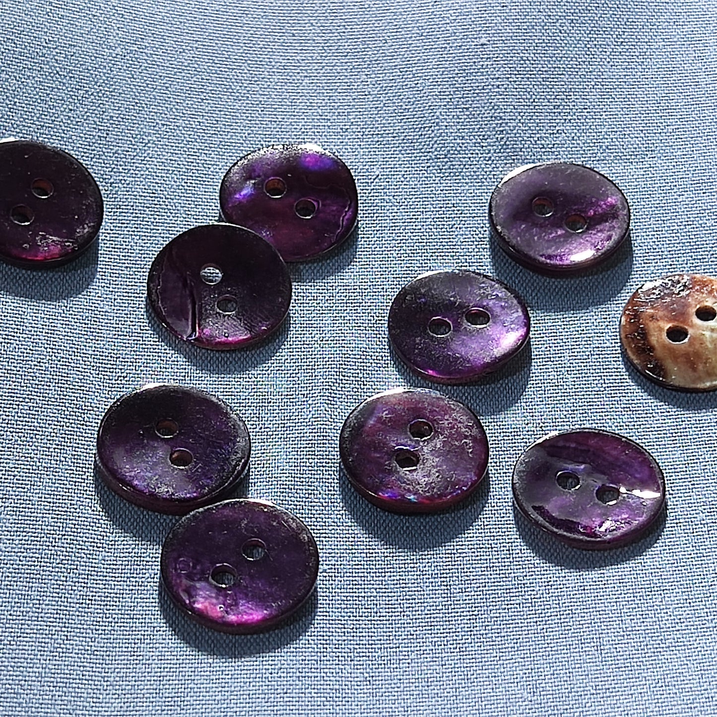 shirt buttons dress buttons bulk buttons natural shell mother of pearl
