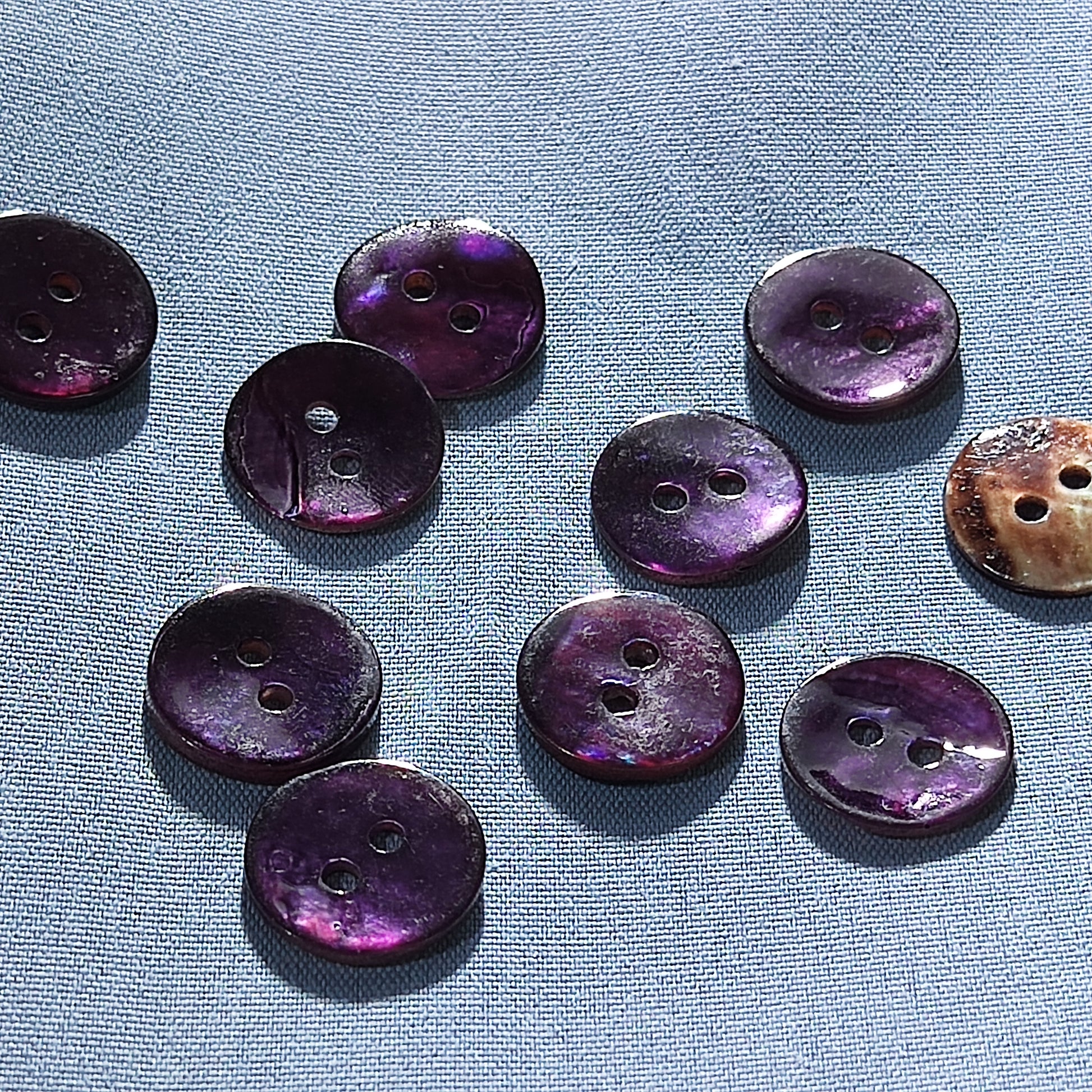 shirt buttons dress buttons bulk buttons natural shell mother of pearl