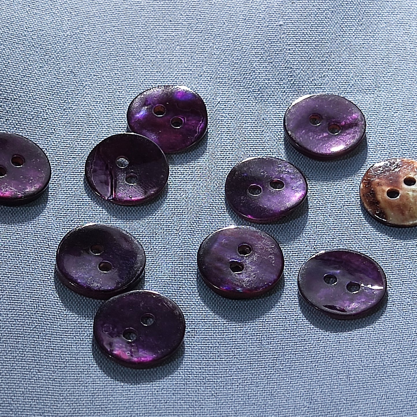 Plum Purple Shell Buttons – 2 Hole Round – 10mm / 12.5mm / 15mm / 18mm / 20mm – Pack of 50(B1146)
